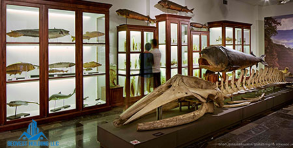 سفر در تاریخ گرجستان در موزه ملی