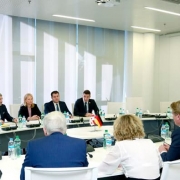 سرمایه گذاری های خصوصی هدف اصلی همکاری اقتصادی گرجستان و آلمان