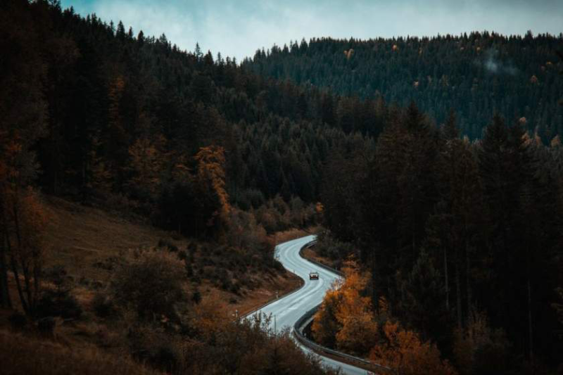 کمپین ۴ فصل در گرجستان